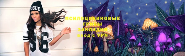 Альфа ПВП Пестово