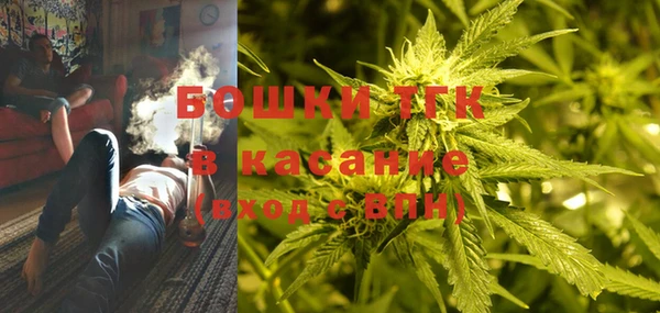 ПСИЛОЦИБИНОВЫЕ ГРИБЫ Верхний Тагил