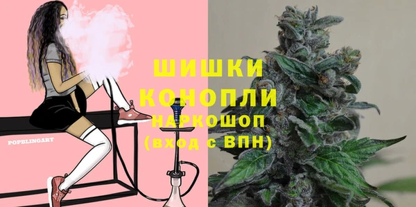 ПСИЛОЦИБИНОВЫЕ ГРИБЫ Верхний Тагил