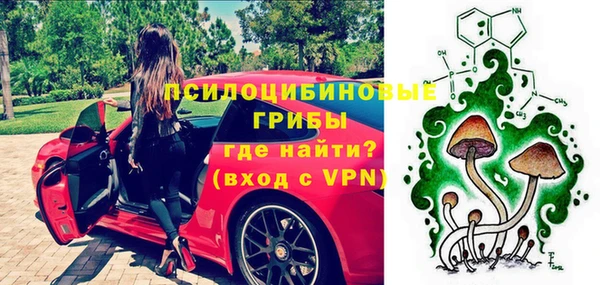 МДПВ Верея