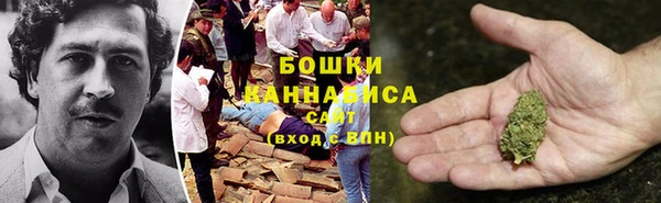 шишки Переславль-Залесский